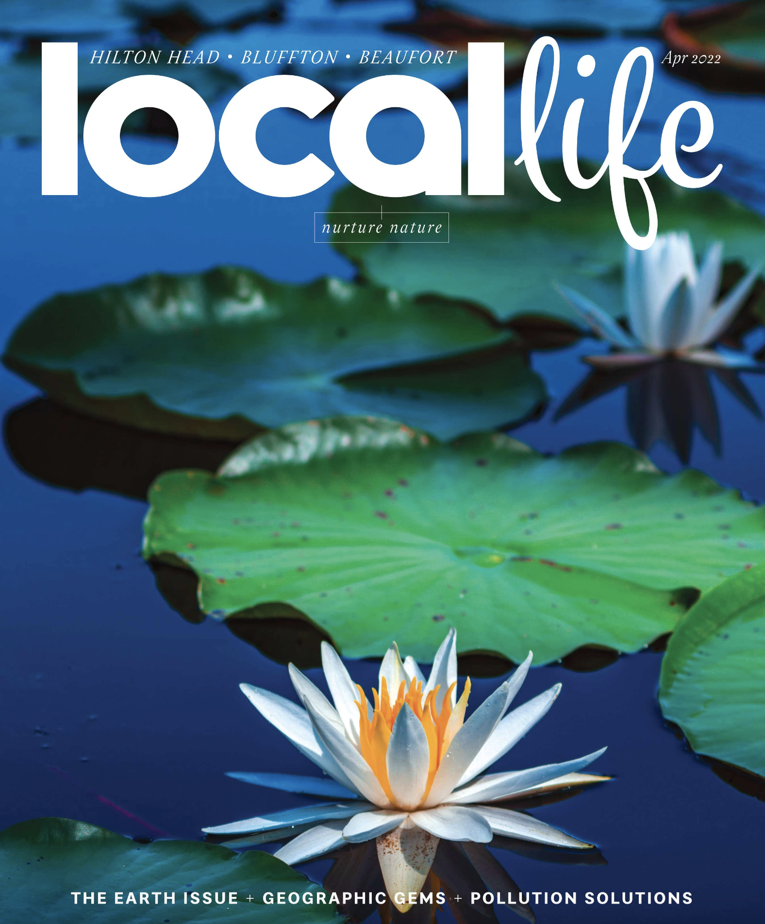 Local Life Cover