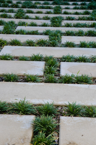 Lisa-Staff-Photographer-KCD-day2-1241 (1)