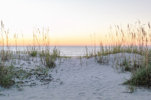 Westin HIlton Head November 2021