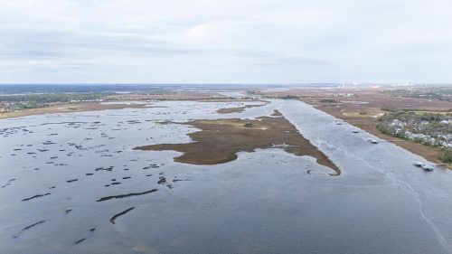 Crane Island view